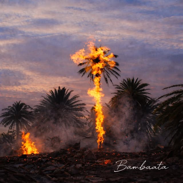 Photo by BAMBAATA on March 13, 2026. May be an image of fire, oil refinery, palm