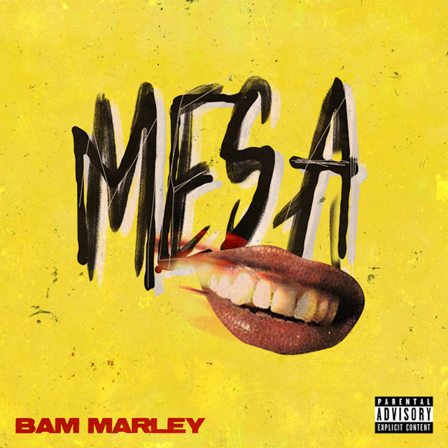 M.E.S.A. Part 1 Cover